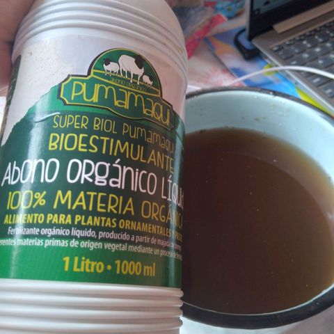 Chalupas growlog photo: Riego con solución bioestimulante