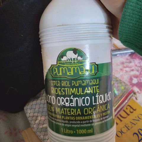 Chalupas growlog photo: Riego con solucion bioestimulante