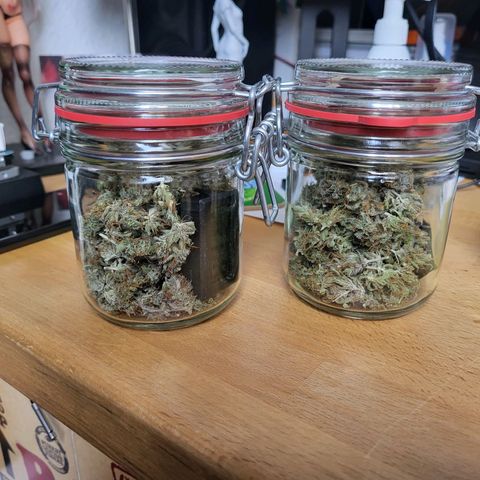 Sweet ZZ Auto growlog timeline photo