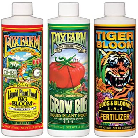 Unknown strain growlog photo: Order nutrients through Amazon.com….  32oz system