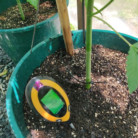 Tropicana wfc growlog photo: Medicion de ph