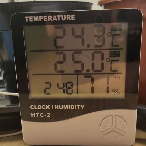 Tropicanna Banana growlog timeline photo