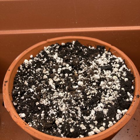 Porthos growlog timeline photo
