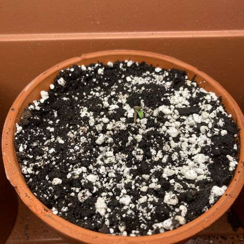 Porthos growlog timeline photo