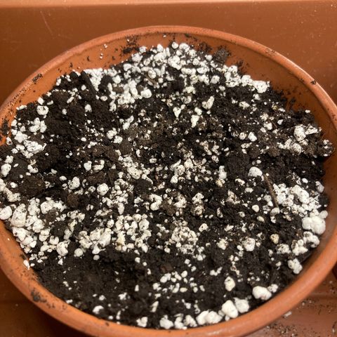 Athos  growlog timeline photo