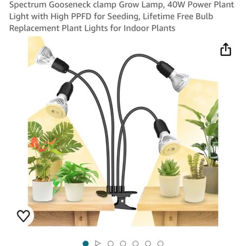 Aramis growlog timeline photo