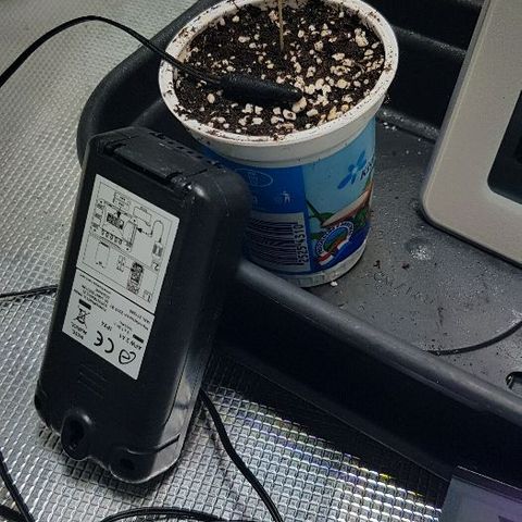 Jagoda growlog timeline photo