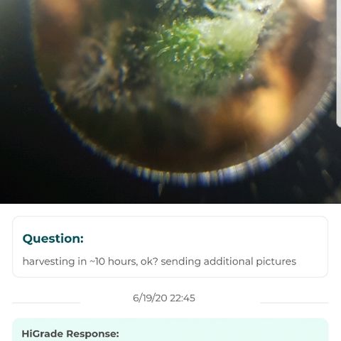 Jagoda growlog timeline photo
