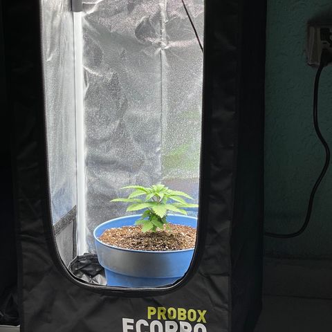 Genética desconocida growlog timeline photo