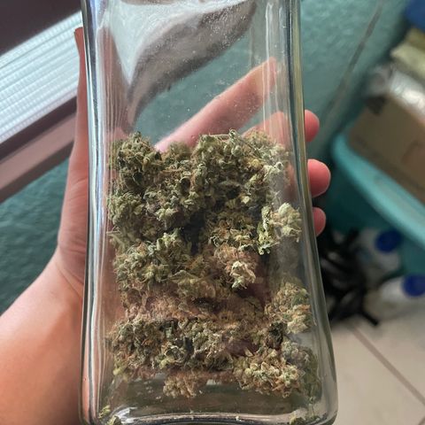 Genética desconocida growlog timeline photo