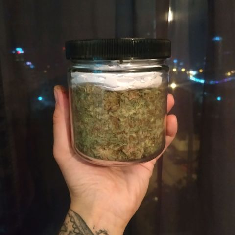 Мящь growlog timeline photo