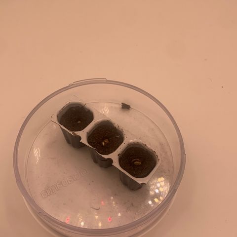 Moby Dick Auto  growlog timeline photo