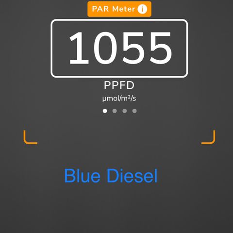 Blue Diesel 1 growlog timeline photo