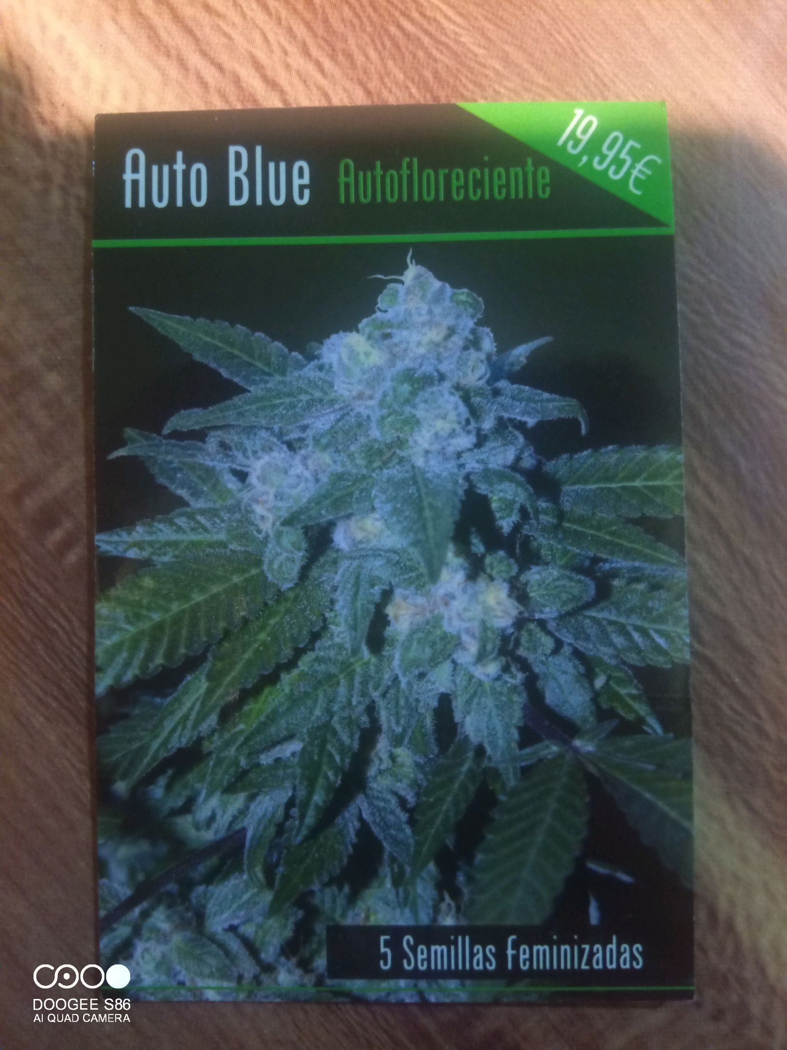 Auto glue growlog header