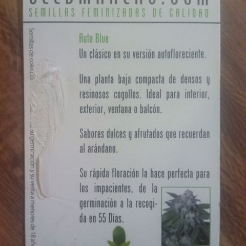 Auto glue growlog photo