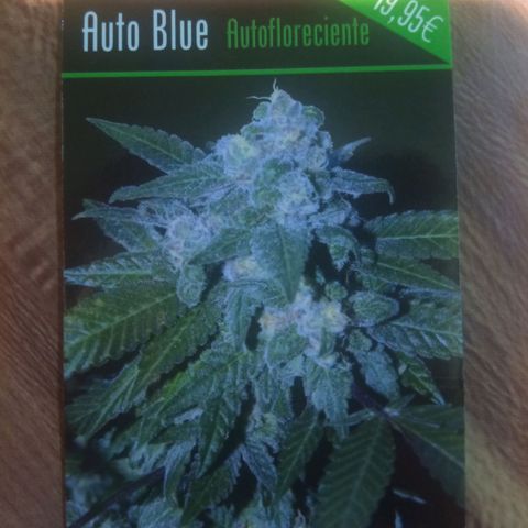 Auto glue growlog in Exterior