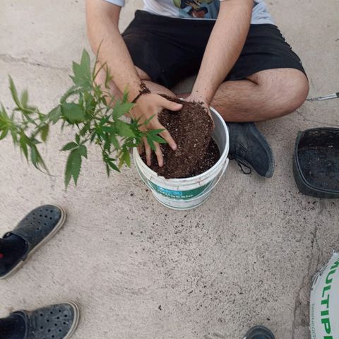 Juanxiz growlog timeline photo