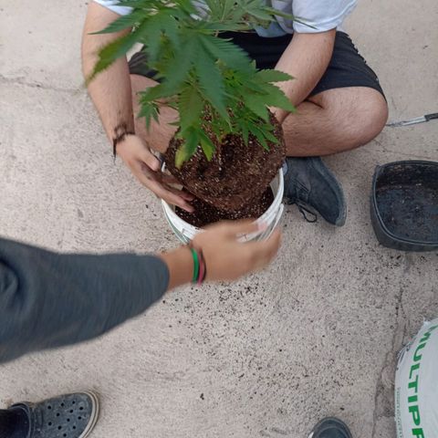 Juanxiz growlog timeline photo