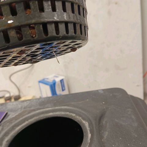 Gorilla Glue Auto growlog timeline photo