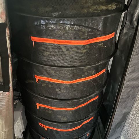 Genius Juice growlog timeline photo