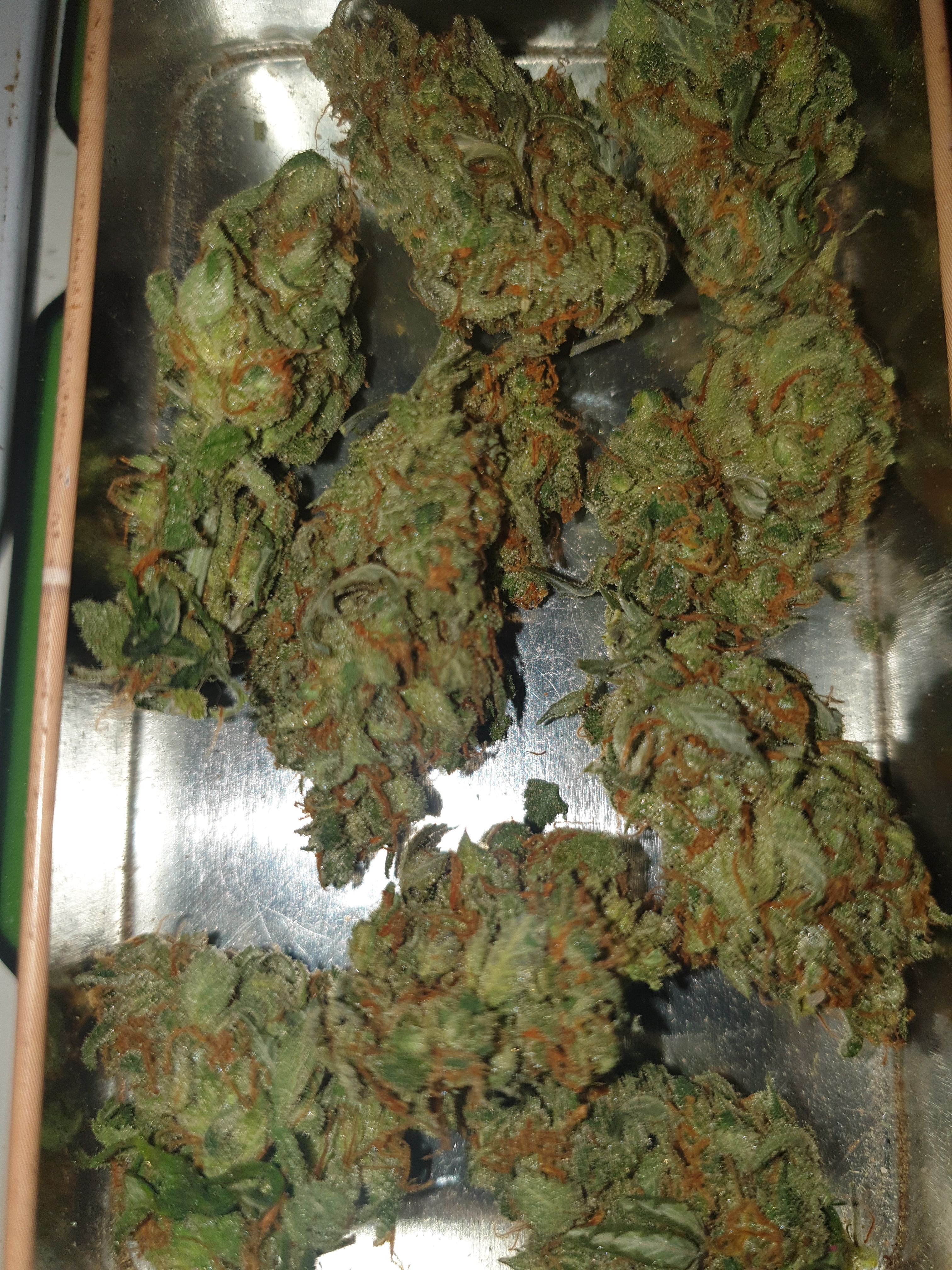 Straw banana 1 2024 growlog photo 48