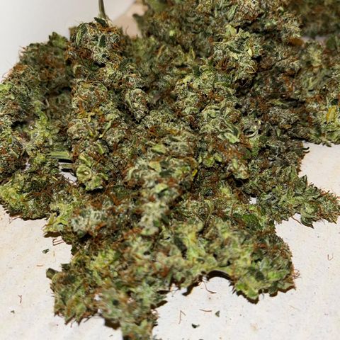 Auto-Bluedream growlog timeline photo