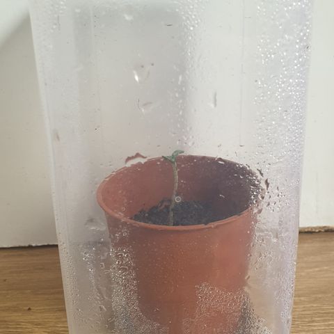 Unknown 1 2024/25 growlog timeline photo