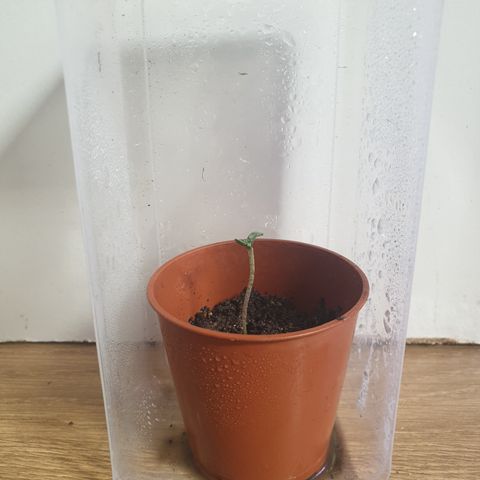 Unknown 1 2024/25 growlog timeline photo