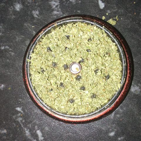 AmzXRedP 2 2025 growlog timeline photo