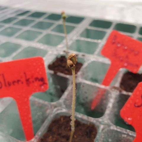Slurriking growlog timeline photo