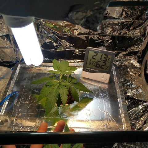 1 growlog timeline photo
