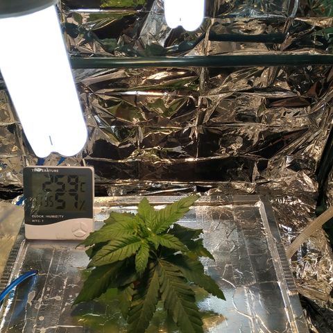 1 growlog timeline photo