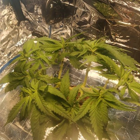1 growlog timeline photo