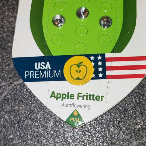 Apple Fritter growlog timeline photo