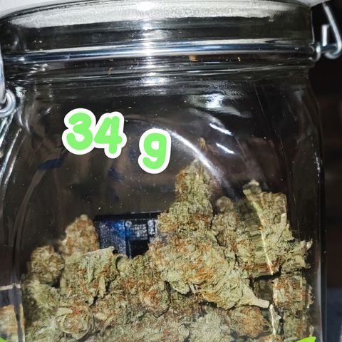 Apple Fritter growlog photo: Curing im Glas bei 62 % RLF
Rauchprobe: 😁😁😁