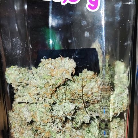 Purple Punch Auto  growlog timeline photo