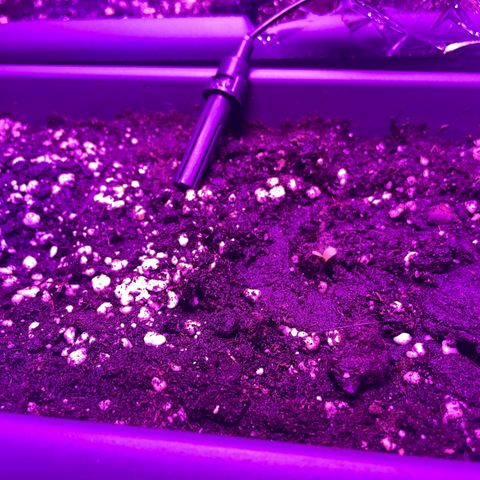 Auto fast & furious  growlog timeline photo
