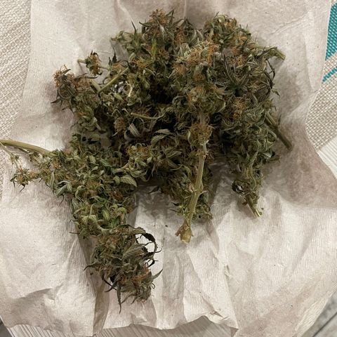 Auto fast & furious  growlog timeline photo