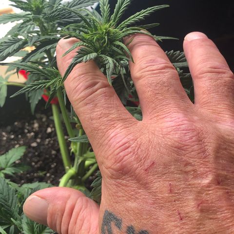 1 growlog photo: I think she’ll be ok