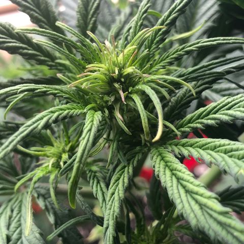 1 growlog photo: I think she’ll be ok