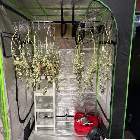 Thelma growlog timeline photo