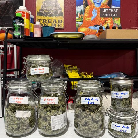 Thelma growlog timeline photo