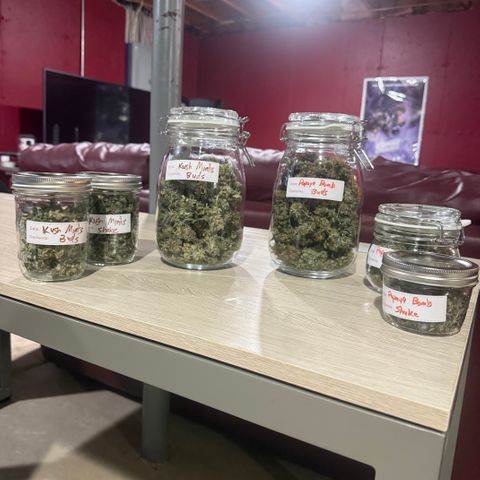 Dunky Cold Medina growlog timeline photo