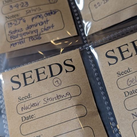 Chrissy -Bruce Banner (78d) 27-33% 60/40S, 215gw/41g dry growlog photo: I inventoried my seeds. Took them out of these wasted containers. (What a waste!)
Latest count is 119. I don't NEED more...