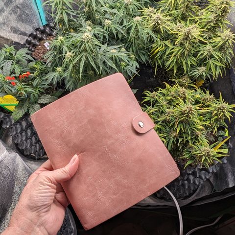 Chrissy -Bruce Banner (78d) 27-33% 60/40S, 215gw/41g dry growlog photo: I inventoried my seeds. Took them out of these wasted containers. (What a waste!)
Latest count is 119. I don't NEED more...