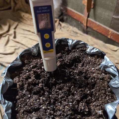 Anita-NH ATF (73), 13-27%, Sativa 149g wet/25g dry growlog timeline photo