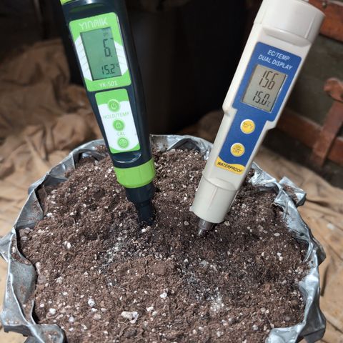 Zelda- Purple Panama Red 17-21%S, (94 days),  287w/60d growlog photo: Geez, don't go crazy!!
Betting it'll be low come planning time!