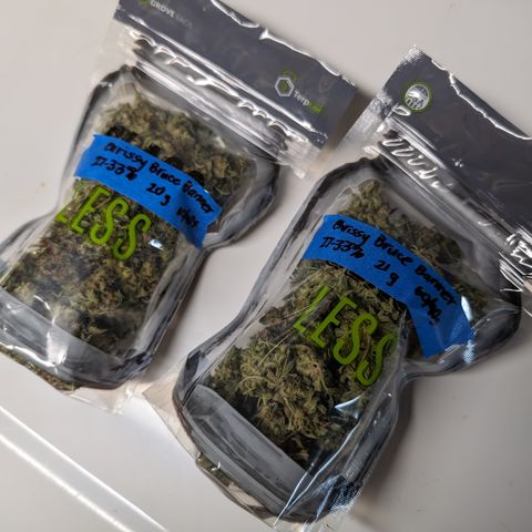 Chrissy -Bruce Banner (78d) 27-33% 60/40S, 215gw/41g dry growlog timeline photo