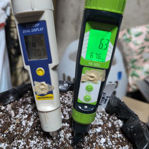 Agnes - Afgooey, (The Seed Fair), 28%, 30/70, (71d/74d/7-9w)459w/ growlog photo: Dub
Promix BX,6c Perlite
