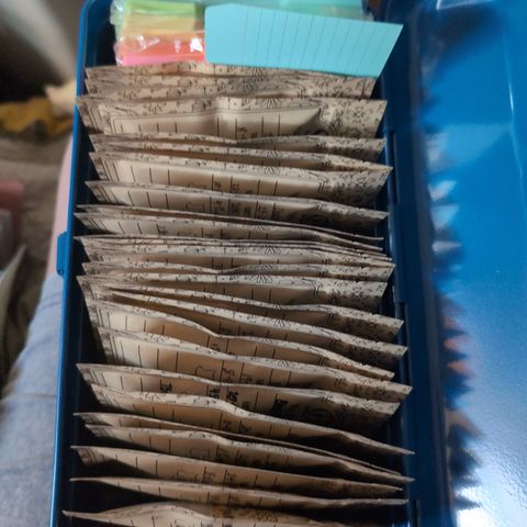 Agnes - Afgooey, (The Seed Fair), 28%, 30/70, (71d/74d/7-9w)459w/ growlog timeline photo